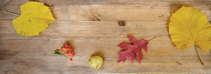 Autumn composition on rustic wooden table in garden with apples, fallen yellow, orange leaves and berries, concept happy Thanksgiving, retro background for designer, cozy autumn vibes, table setting