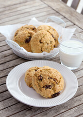 Oat and wheat germ cookies