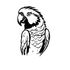 parrot silhouette illustration 