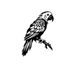 parrot silhouette illustration 