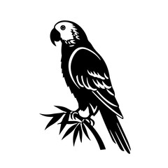 parrot silhouette illustration 