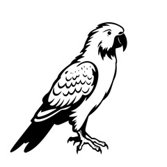 parrot silhouette illustration 