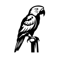 parrot silhouette illustration 