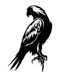 parrot silhouette illustration 