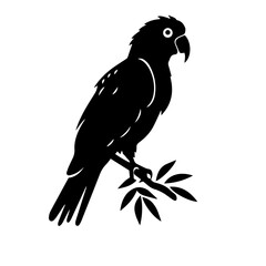 parrot silhouette illustration 