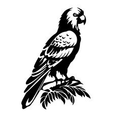 parrot silhouette illustration 