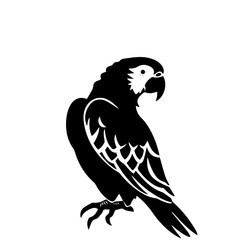 parrot silhouette illustration 