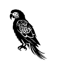 parrot silhouette illustration 