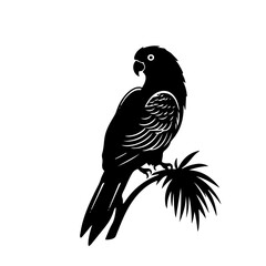 parrot silhouette illustration 