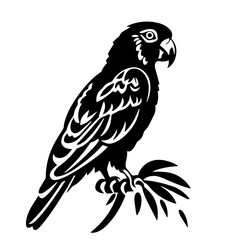 parrot silhouette illustration 