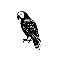 parrot silhouette illustration 