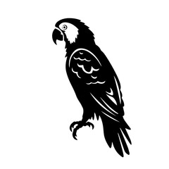 Naklejka premium parrot silhouette illustration 