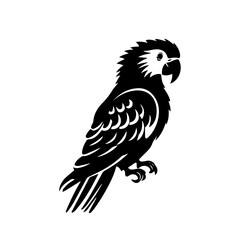 parrot silhouette illustration 