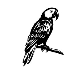 parrot silhouette illustration 