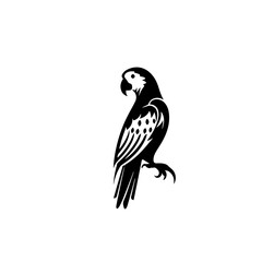 parrot silhouette illustration 