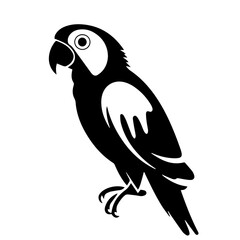 parrot silhouette illustration 