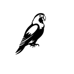 parrot silhouette illustration 