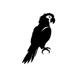 parrot silhouette illustration 