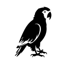 parrot silhouette illustration 