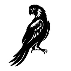 parrot silhouette illustration 
