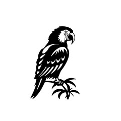 parrot silhouette illustration 
