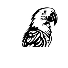 parrot silhouette illustration 