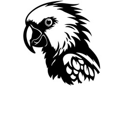 parrot silhouette illustration 