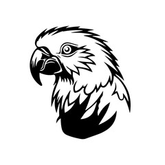 parrot silhouette illustration 