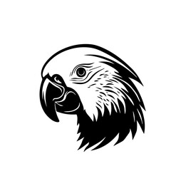parrot silhouette illustration 