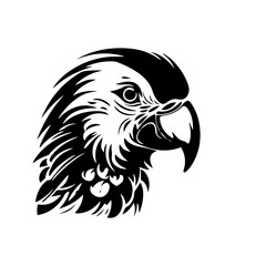 parrot silhouette illustration 