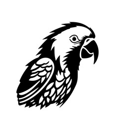 parrot silhouette illustration 