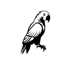 parrot silhouette illustration 