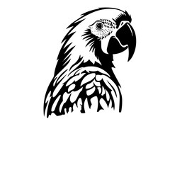 parrot silhouette illustration 