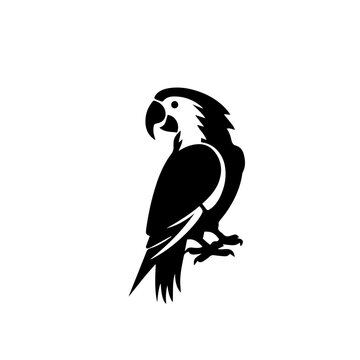 recommend clip art: parrot silhouette illustration 