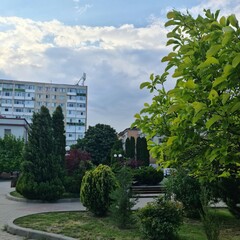 A garden with trees and buildings in the background