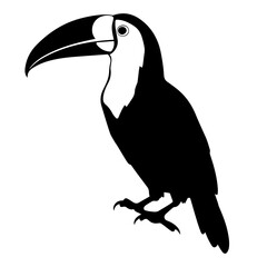 Vector illustration of a black silhouette toucan © DLC Studio