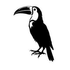 Vector illustration of a black silhouette toucan © DLC Studio