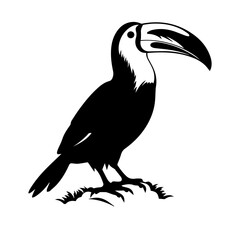 Vector illustration of a black silhouette toucan