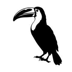 Vector illustration of a black silhouette toucan