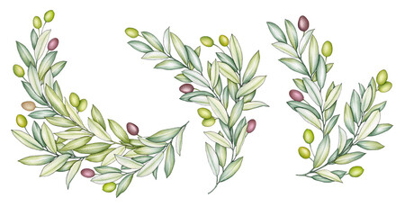 Olive arrangement with ripe olives on a white background