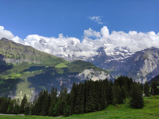 A view on the Berner Oberland, Switzerland. Mountain peaks, clouds, blue sky, sunny day. Forest in the montains. Pines. Alps, alpine rocks, remaining snow, ice. Glacier. Jungfrau region.