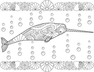 Narwhal with shell borders - vector linear picture for coloring. Outline. Coloring book with narwhal with zentangles for coloring book. © Hanna