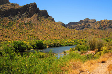 Salt River Recreation Area Arizona