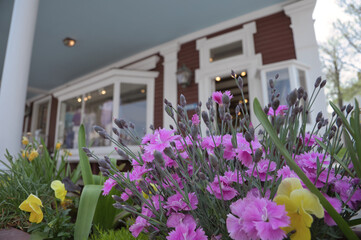 flowers in front of house