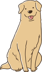 おすわりするゴールデンレトリバー