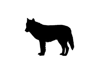 Fototapeta na wymiar Wolf Silhouette for Logo Type, Art Illustration, Pictogram, Website, Apps or Graphic Design Element. Vector Illustration