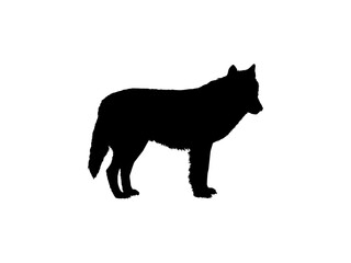 Obraz na płótnie Canvas Wolf Silhouette for Logo Type, Art Illustration, Pictogram, Website, Apps or Graphic Design Element. Vector Illustration
