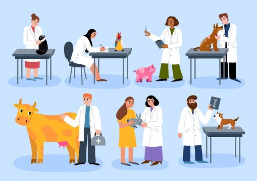 Cartoon vet doctor characters. Work in veterinary office, examination and treatment of animals, rehabilitation, owners with pets, vector set