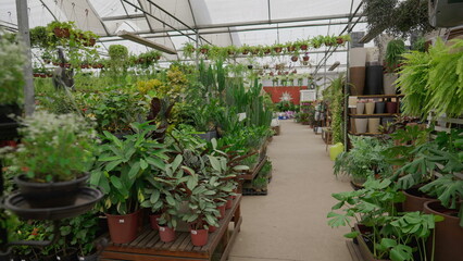 Fototapeta na wymiar Vibrant Interior of Flower Shop Store, Local Horticulture Gardening Retail Business