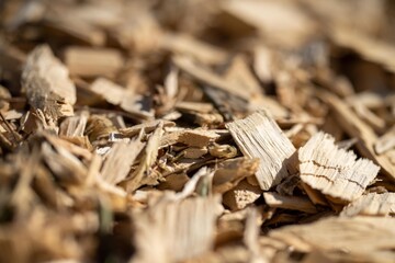 pile of wood chips and a compost in a community garden in australia - obrazy, fototapety, plakaty